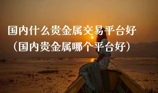 国内什么贵金属交易平台好（国内贵金属哪个平台好）