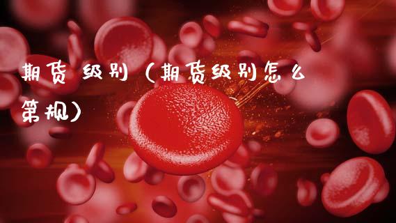 期货 级别（期货级别怎么第规）