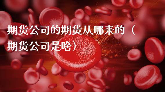 期货公司的期货从哪来的（期货公司是啥）
