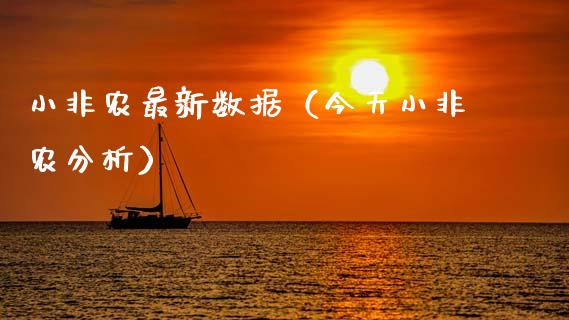 小非农最新数据（今天小非农分析）