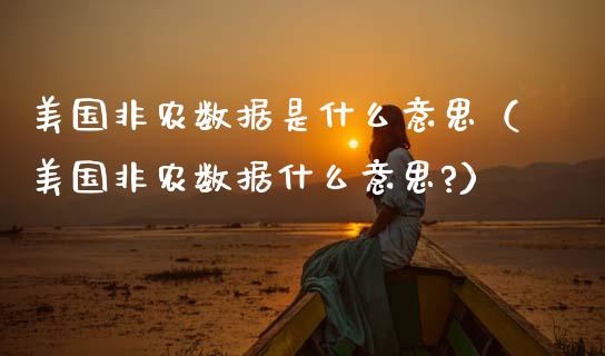 美国非农数据是什么意思（美国非农数据什么意思?）