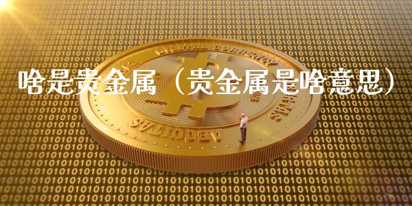 啥是贵金属（贵金属是啥意思）