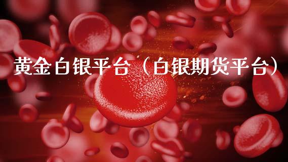 黄金白银平台（白银期货平台）