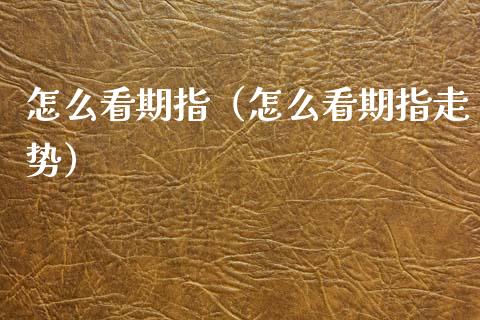 怎么看期指（怎么看期指走势）