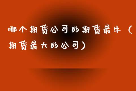哪个期货公司的期货最牛（期货最大的公司）