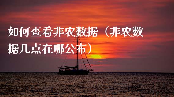 如何查看非农数据（非农数据几点在哪公布）