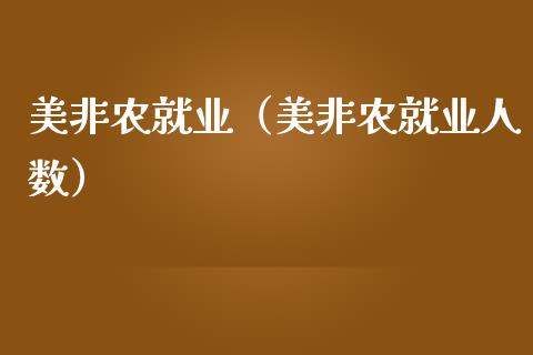 美非农就业（美非农就业人数）