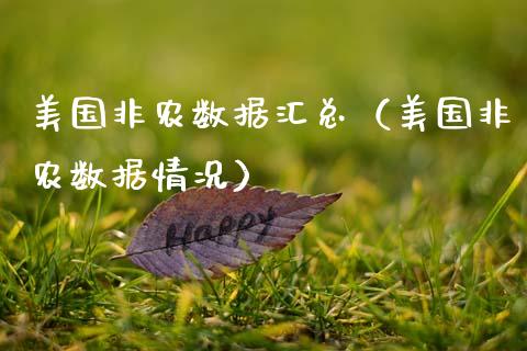 美国非农数据汇总（美国非农数据情况）