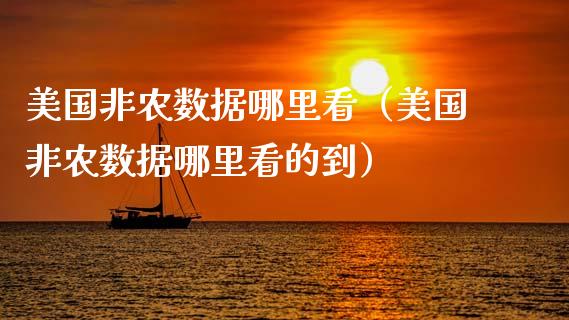 美国非农数据哪里看（美国非农数据哪里看的到）