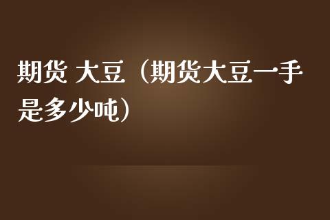 期货 大豆（期货大豆一手是多少吨）