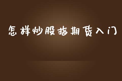 怎样炒股指期货入门