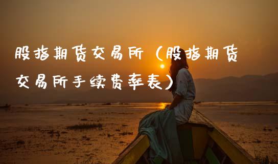 股指期货交易所（股指期货交易所手续费率表）