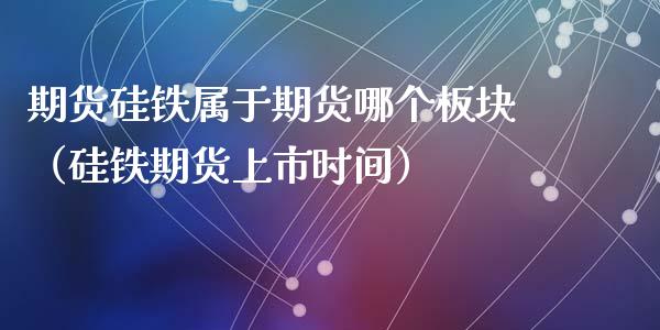 期货硅铁属于期货哪个板块（硅铁期货上市时间）