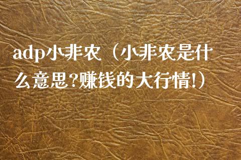 adp小非农（小非农是什么意思?赚钱的大行情!）