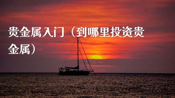 贵金属入门（到哪里投资贵金属）