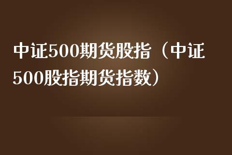 中证500期货股指（中证500股指期货指数）