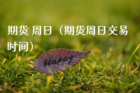期货 周日（期货周日交易时间）