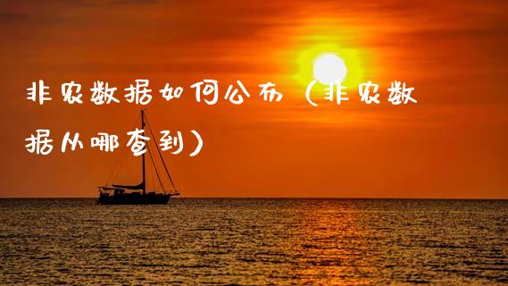 非农数据如何公布（非农数据从哪查到）
