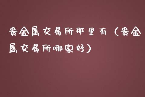 贵金属交易所那里有（贵金属交易所哪家好）