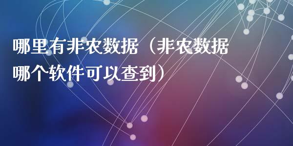 哪里有非农数据（非农数据哪个软件可以查到）
