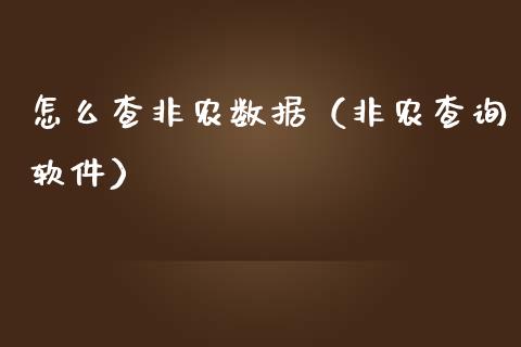怎么查非农数据（非农查询软件）