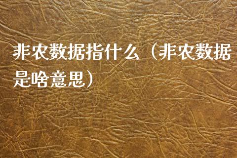 非农数据指什么（非农数据是啥意思）