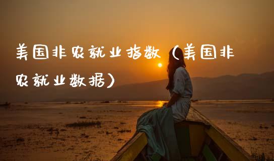 美国非农就业指数（美国非农就业数据）