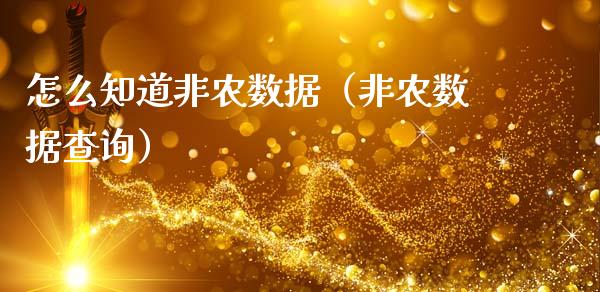 怎么知道非农数据（非农数据查询）