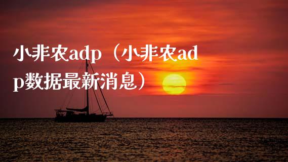 小非农adp（小非农adp数据最新消息）