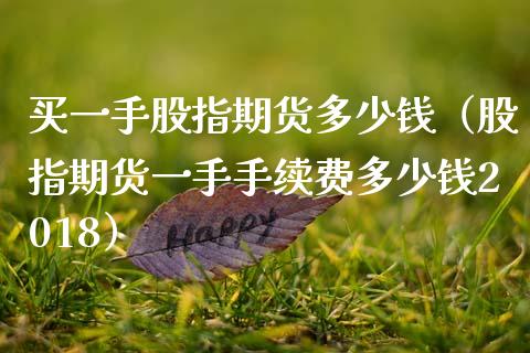 买一手股指期货多少钱（股指期货一手手续费多少钱2018）