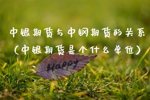 中银期货与中钢期货的关系（中银期货是个什么单位）