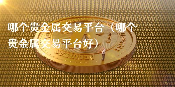 哪个贵金属交易平台（哪个贵金属交易平台好）