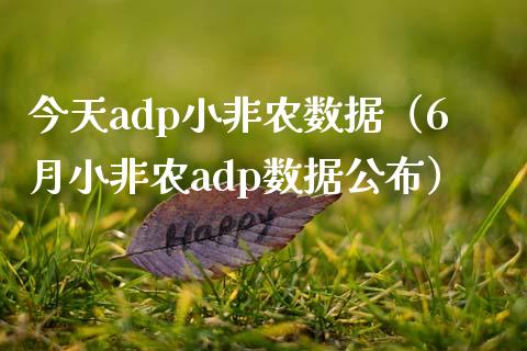 今天adp小非农数据（6月小非农adp数据公布）
