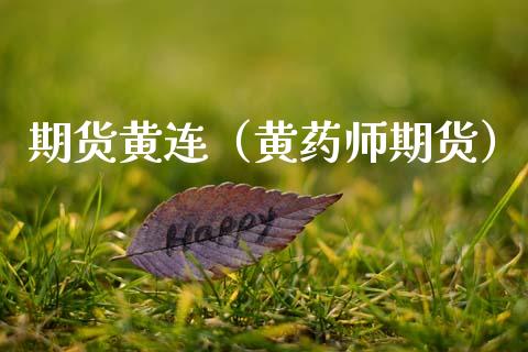 期货黄连（黄药师期货）