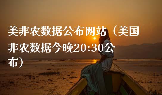 美非农数据公布网站（美国非农数据今晚20:30公布）