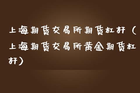 上海期货交易所期货杠杆（上海期货交易所黄金期货杠杆）
