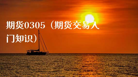 期货0305（期货交易入门知识）