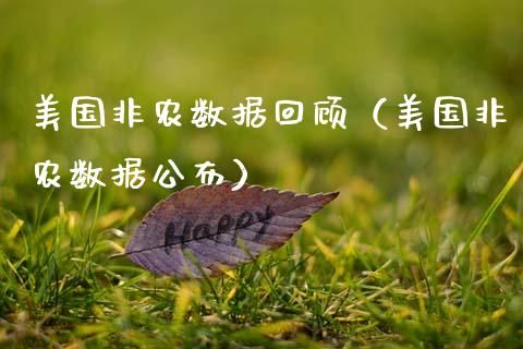 美国非农数据回顾（美国非农数据公布）