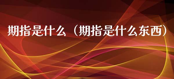 期指是什么（期指是什么东西）