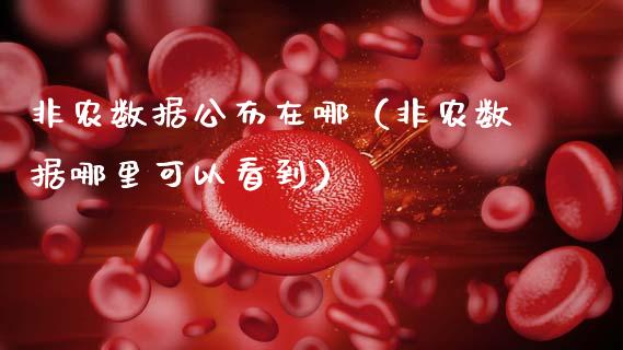 非农数据公布在哪（非农数据哪里可以看到）