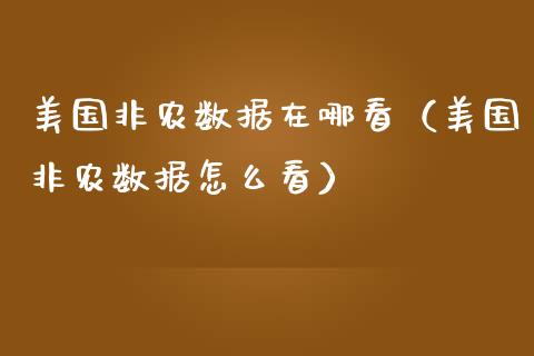 美国非农数据在哪看（美国非农数据怎么看）