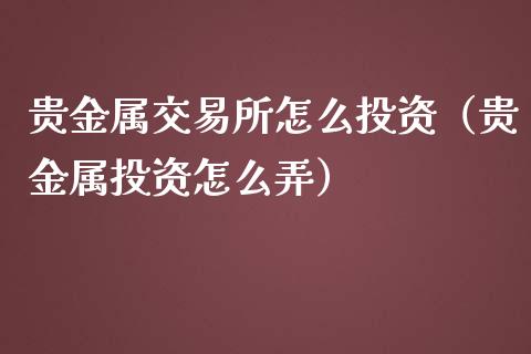 贵金属交易所怎么投资（贵金属投资怎么弄）