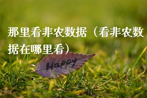 那里看非农数据（看非农数据在哪里看）
