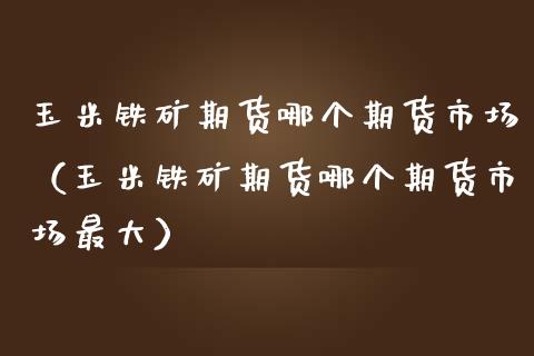 玉米铁矿期货哪个期货市场（玉米铁矿期货哪个期货市场最大）