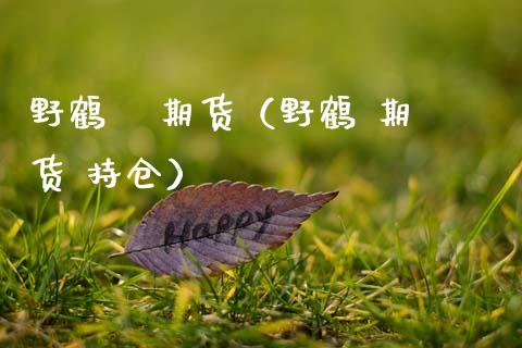 野鹤   期货（野鹤 期货 持仓）