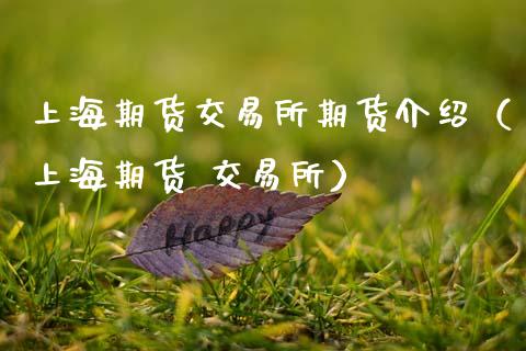 上海期货交易所期货介绍（上海期货 交易所）