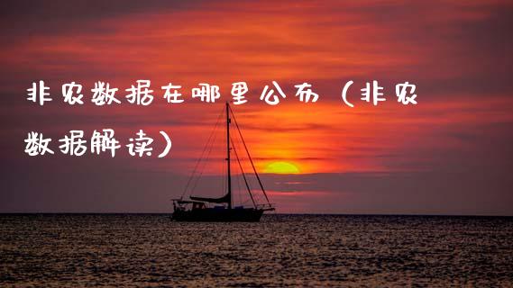 非农数据在哪里公布（非农数据解读）