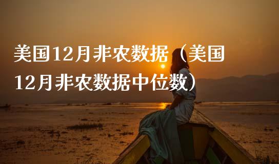 美国12月非农数据（美国12月非农数据中位数）