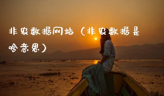 非农数据网站（非农数据是啥意思）