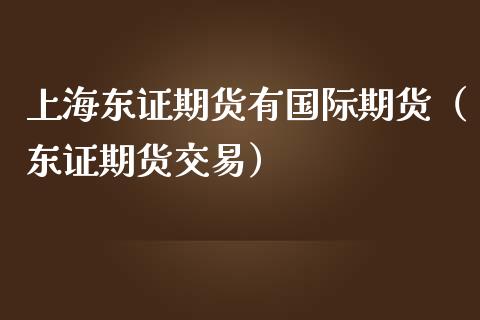 上海期货有国际期货（期货交易）